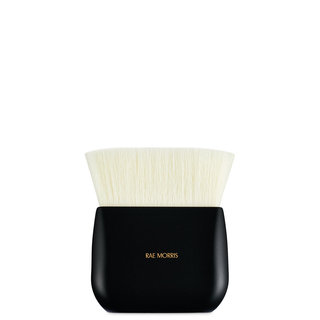 Jishaku Brush 26: Radiance